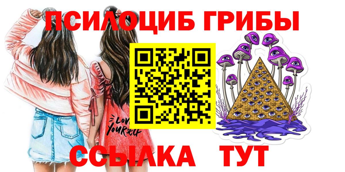 Галлюциногенные грибы мицелий Энгельс