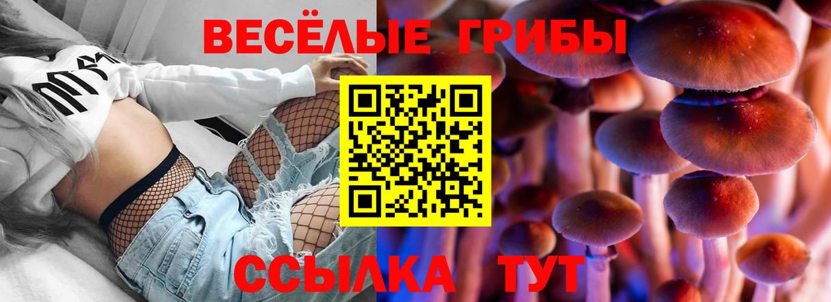 Энгельс  Псилоцибиновые грибы ЛСД  Вход с VPN 